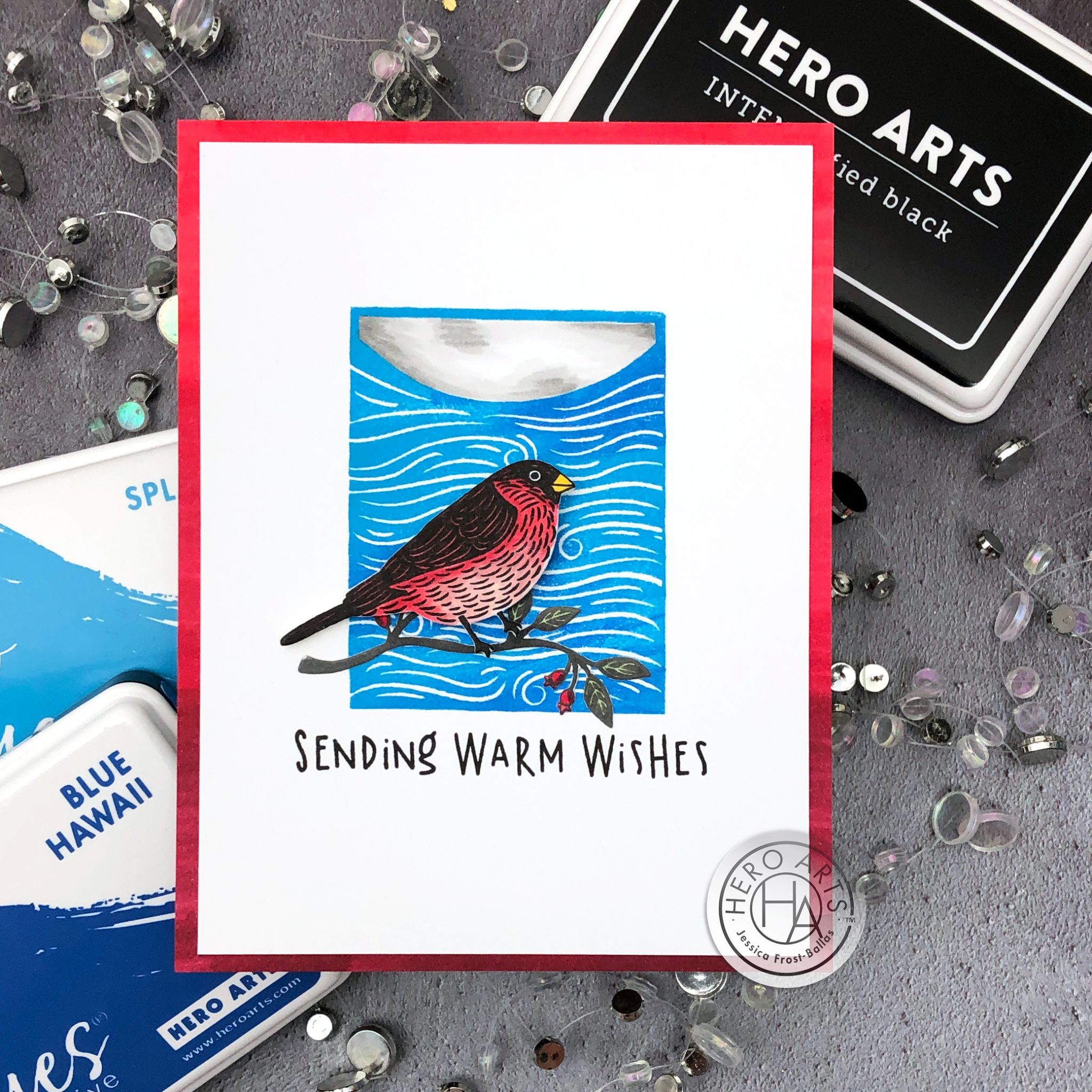 Hero Arts My Monthly Hero Kit Blog Hop (+ GIVEAWAY!) all the sparkle